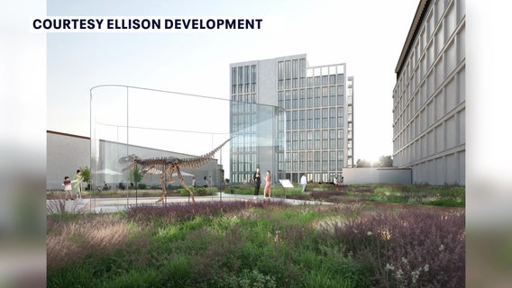 Developer plans to transform St. Pete parking garage roof into rare dinosaur skeleton’s home