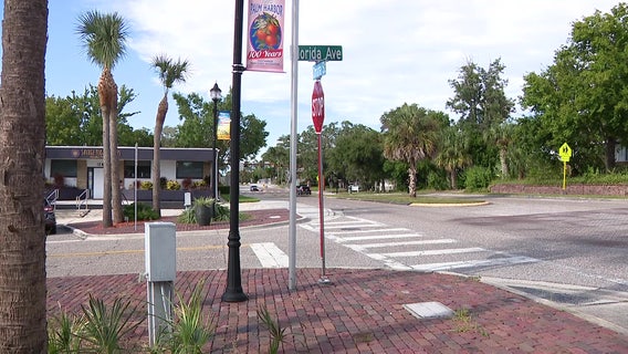 Boy on bike seriously injured after being hit by car in Palm Harbor: FHP