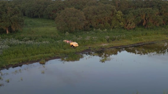 2,000-acre Polk County wildlife habitat — home to eagles, Florida panthers — protected from development