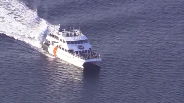 Cross Bay Ferry making a comeback after PSTA grant