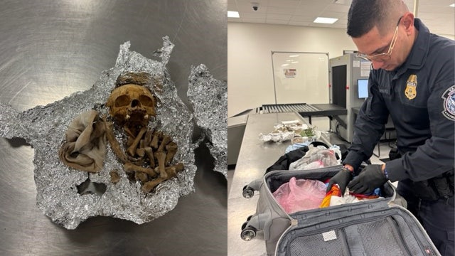 Bones, including portion of a skull, found in duffel bag at TPA: CBP