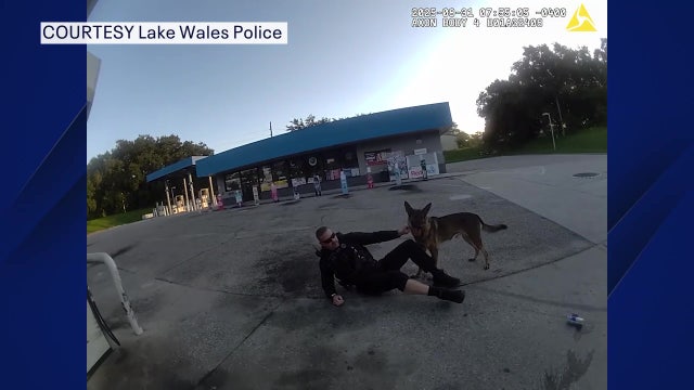 Lake Wales officer and K9 dragged by driver during traffic stop, bodycam released