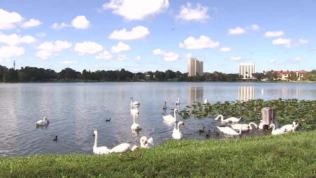 DEP grants to enhance Lakeland lakes: New technology set for trial at Lake Morton