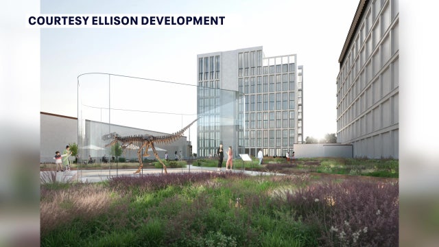 Developer plans to transform St. Pete parking garage roof into rare dinosaur skeleton’s home