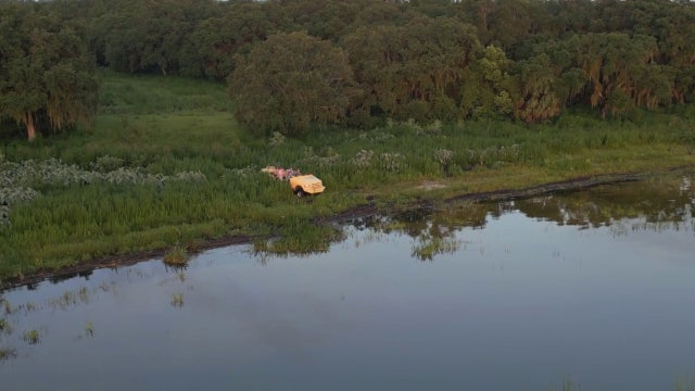 2,000-acre Polk County wildlife habitat — home to eagles, Florida panthers — protected from development