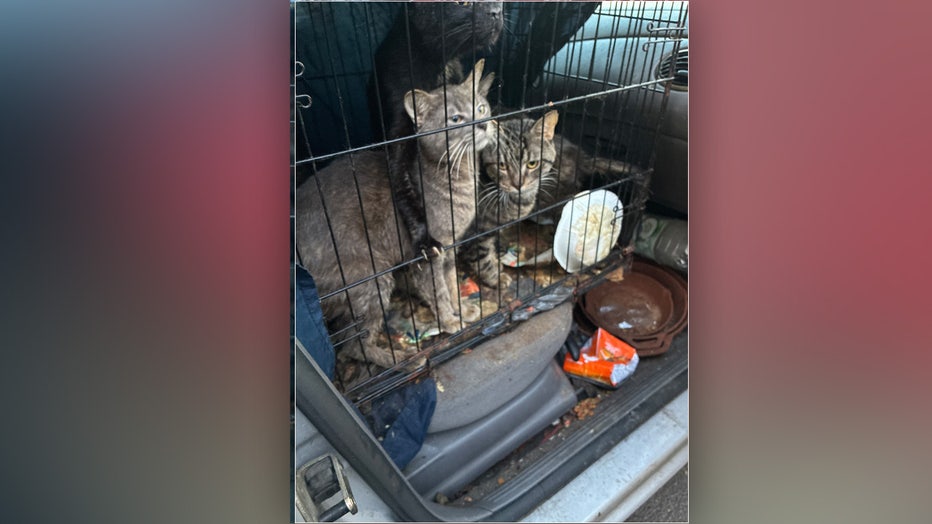 Courtesy: Clearwater Police Department