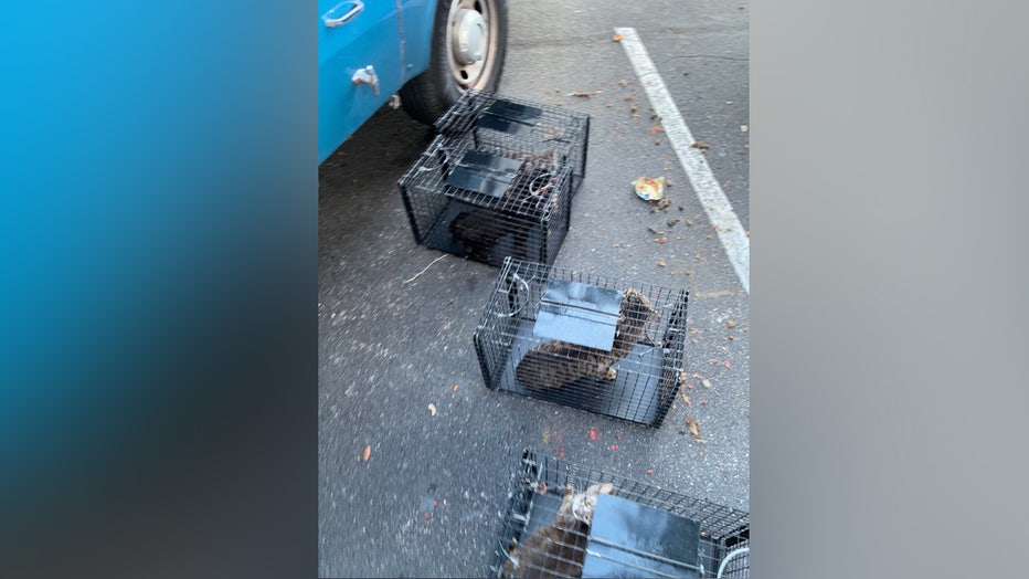 Courtesy: Clearwater Police Department