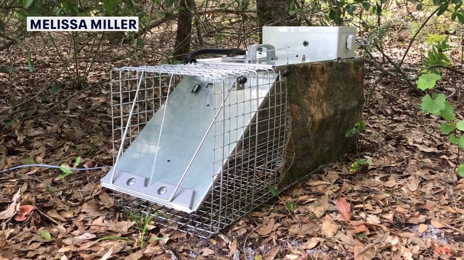 tegu tegu-wooden-magnetic-blocks-42