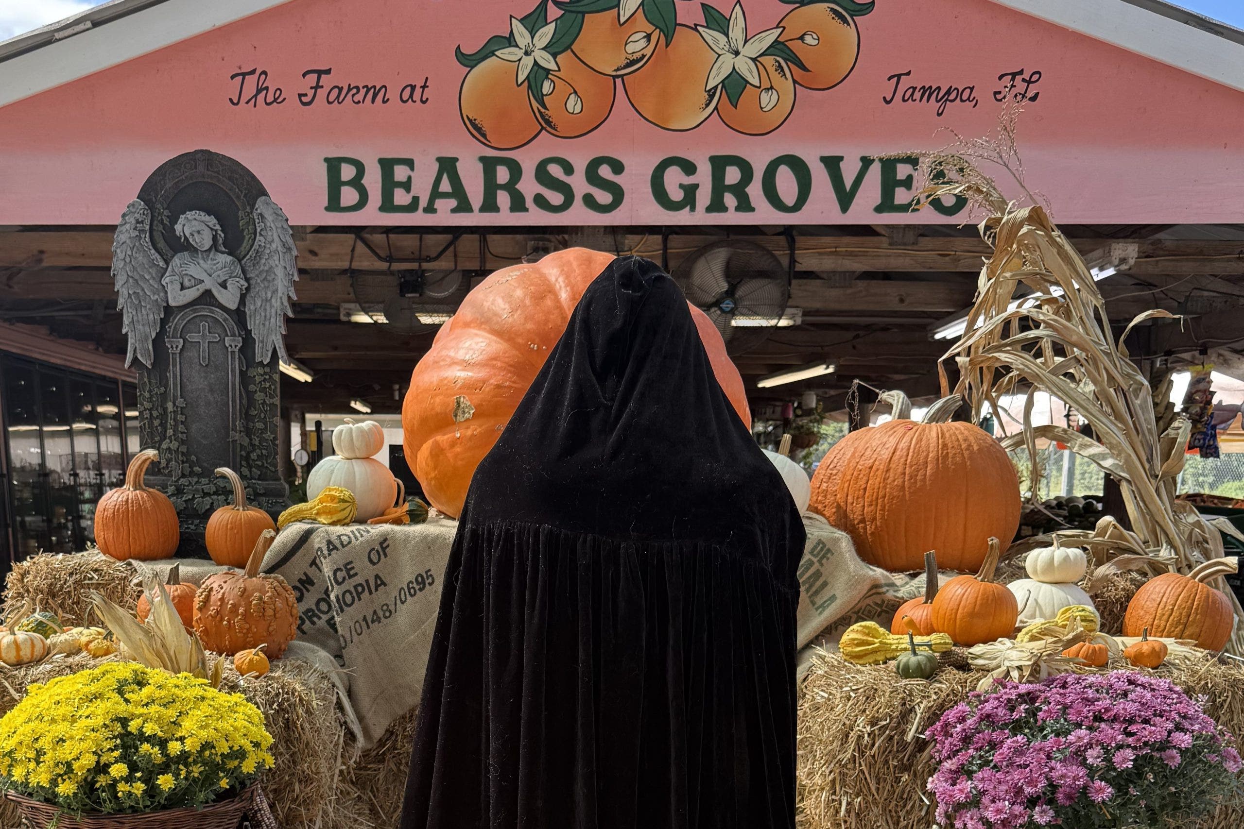 Bearss Groves Farm mourns the loss of giant pumpkin 'Jack'