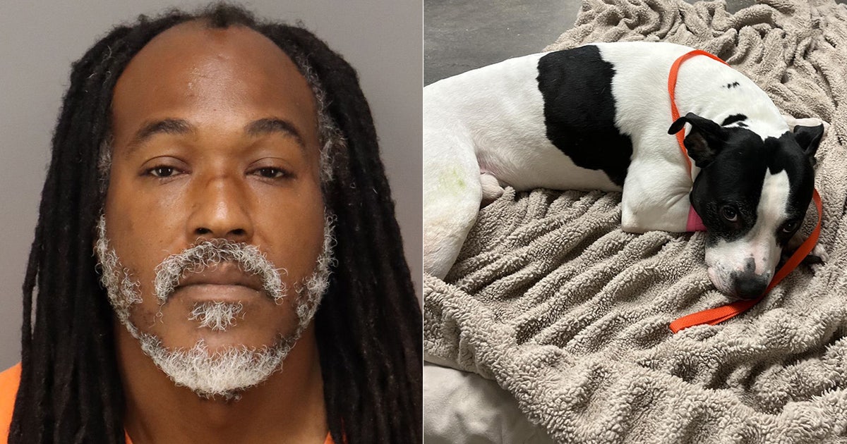 Man accused of following teen into bedroom throws dog protecting her ...
