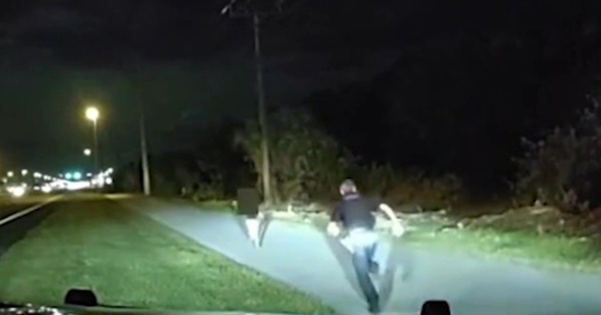 Video: Florida child nearly hit by car while running in traffic rescued ...