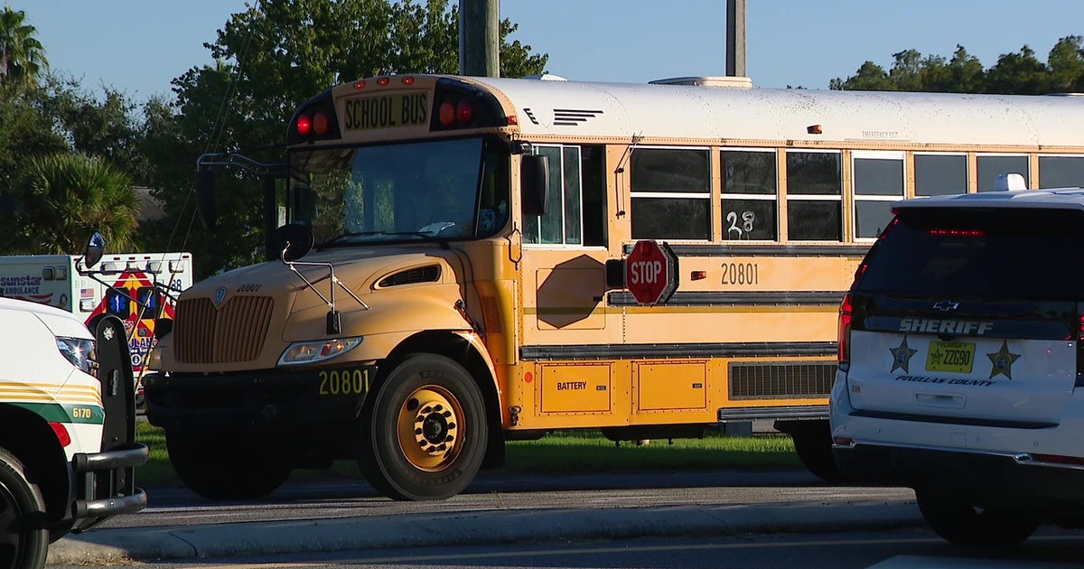 Pedestrian hit, killed by school bus in Oldsmar: PCSO | FOX 13 Tampa Bay