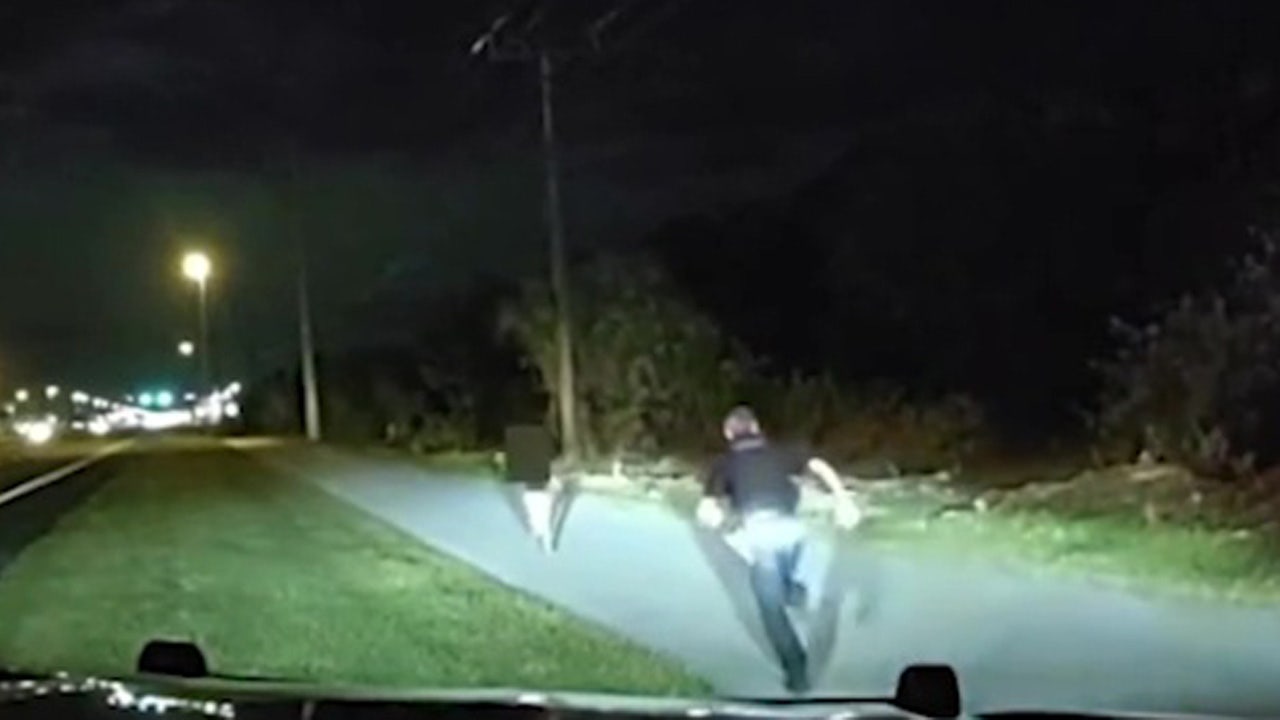 Video: Florida child nearly hit by car while running in traffic rescued by North  Port officer | FOX 13 Tampa Bay
