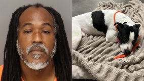 Man accused of following teen into bedroom throws dog protecting her from Pinellas home balcony: Deputies