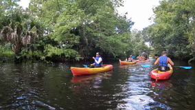 Explore natural Florida on the Loxahatchee River
