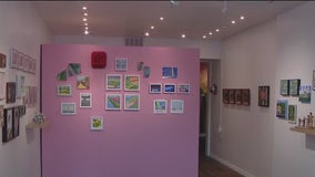 Sarasota art exhibition features items that are 'Shopliftable'