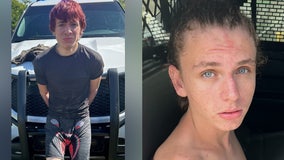 Florida K-9s catch suspects swimming from crashed stolen car with ski masks and fake gun inside: SLCSO