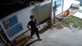 Seaside Seabird Sanctuary donation box robbed for second time in weeks