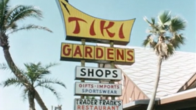 Unearthing the lost history of Pinellas County’s Tiki Gardens