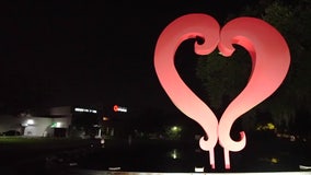 Go behind the scenes of the Crisis Center of Tampa Bay