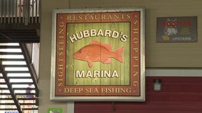 PSTA staff recommends Hubbard’s Marina as Cross Bay Ferry operator, final vote later this month