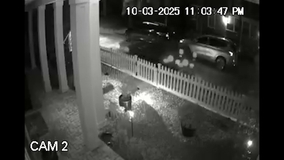 St. Pete Police looking for driver of car seen on camera near scene of deadly hit-and-run