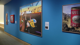 Pop art show marries classics to western art at the James Museum