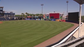 Yankees pitch new round of renovations for Steinbrenner Field