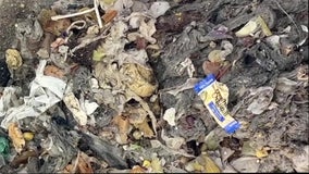 Think before you flush: City of Bradenton says trash items are ending up in toilets