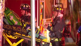 Dogs killed in St. Pete house fire: SPFR