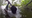 17-year-old rescues autistic sister from Port Richey lake
