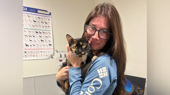 Cat missing for five years reunited with owner