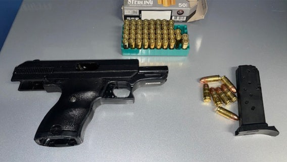 Spoto High School student arrested for bringing gun on campus: Deputies