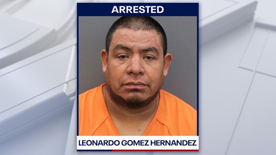 Illegal immigrant accused of choking, punching trooper in Tampa