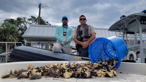 Captain, crew accused of illegally harvesting stone crab in Pasco County