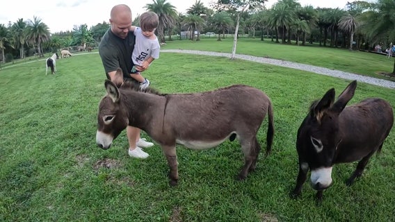 Florida’s faith-filled farm retreat with animals and nature