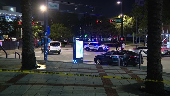 Tampa police share latest after in-custody suspect struck by vehicle dies