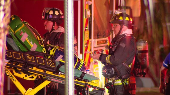 Dogs killed in St. Pete house fire: SPFR