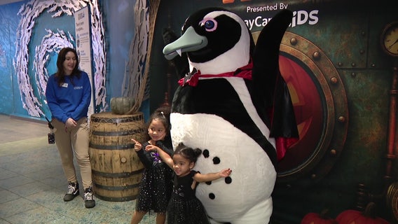 Florida Aquarium's sensory-friendly Halloween event is all treats with a few tricks