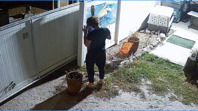 Teenager accused of stealing donations from bird sanctuary, his father returns the money to nonprofit