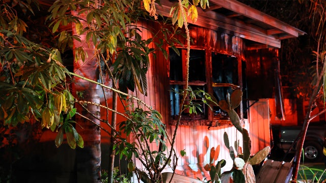 Two dogs rescued from mobile home fire in Dover