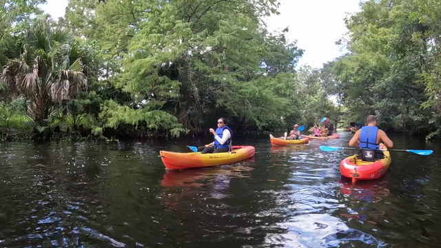 Explore natural Florida on the Loxahatchee River