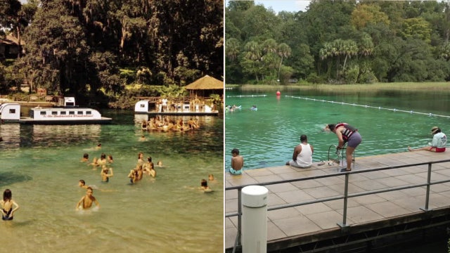 Rainbow's lost luster: Diving deep into the forgotten magic of Florida's Rainbow Springs