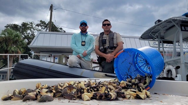Captain, crew accused of illegally harvesting stone crab in Pasco County