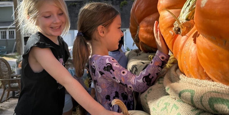 pumpkin-patch-7.jpg?ve=1&tl=1