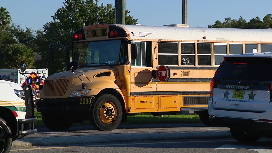 Pedestrian hit, killed by school bus in Oldsmar: PCSO | FOX 13