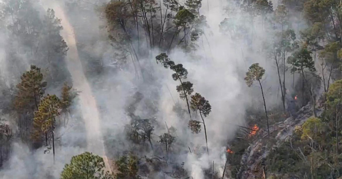 Brush fire ignites near Sebring neighborhood: HCFR | FOX 13 Tampa Bay
