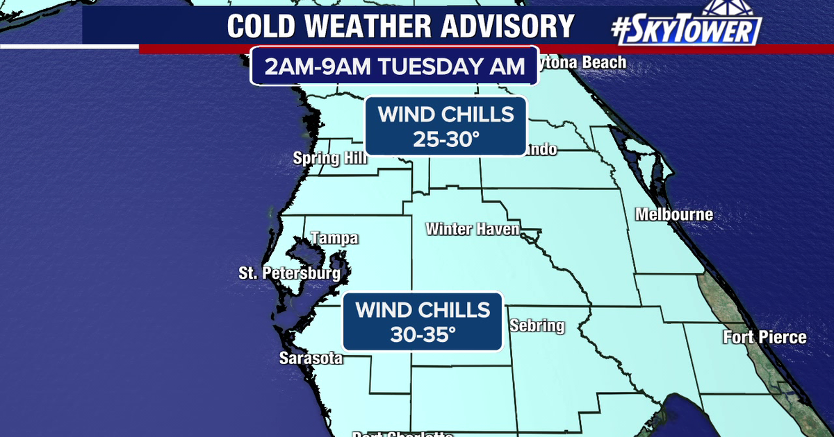 Cold snap brings freeze warning to Bay Area; Here’s how to protect pets ...