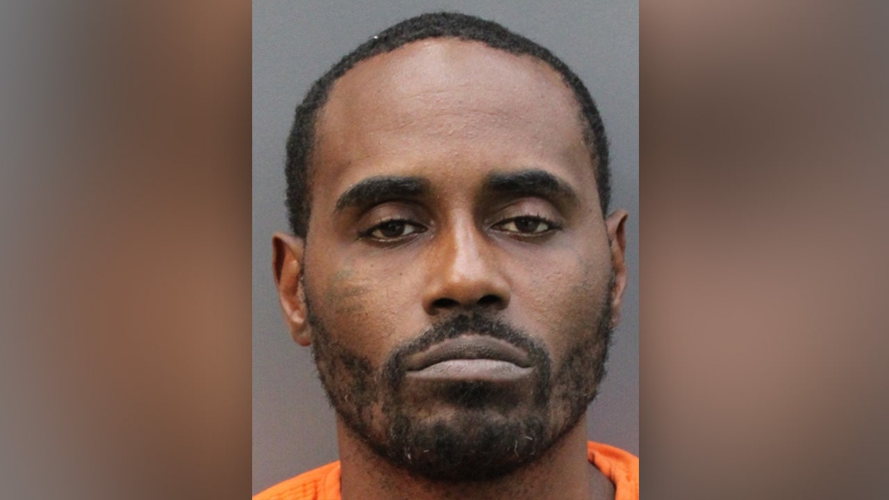 Florida man shoots pregnant girlfriend in abdomen as she slept next to 2 kids, striking unborn baby: HCSO