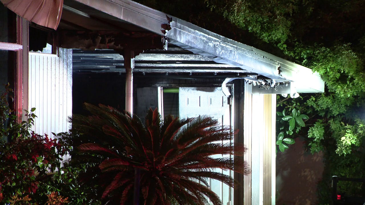 Family of four displaced after Tampa home fire, dog dies: First responders Curated by Alerts360